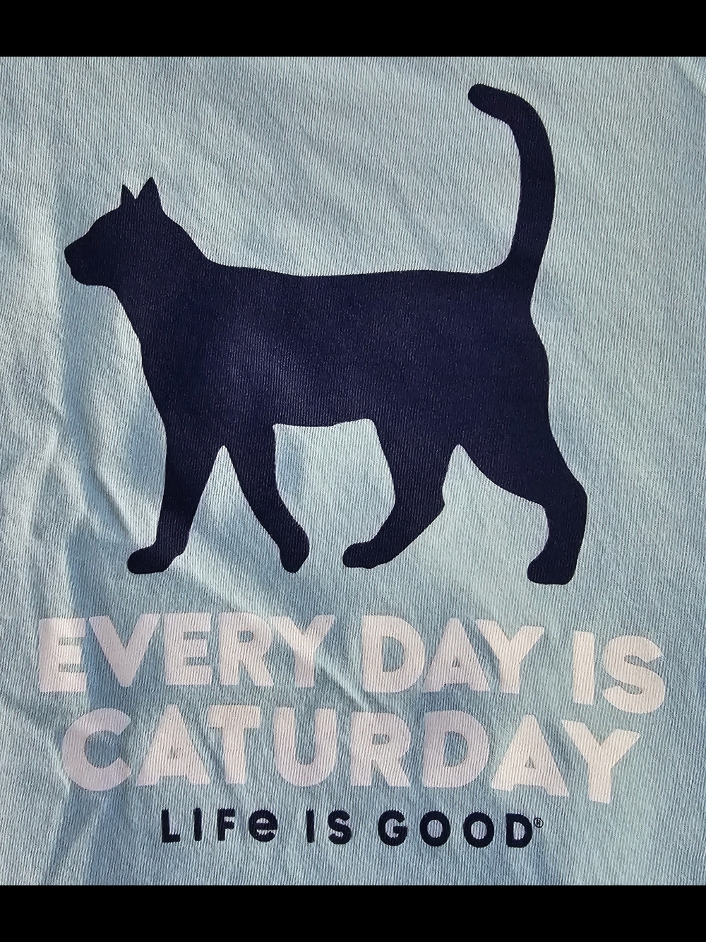 Life Is Good Light Blue Short Sleeve Tee with Navy Cat Graphic